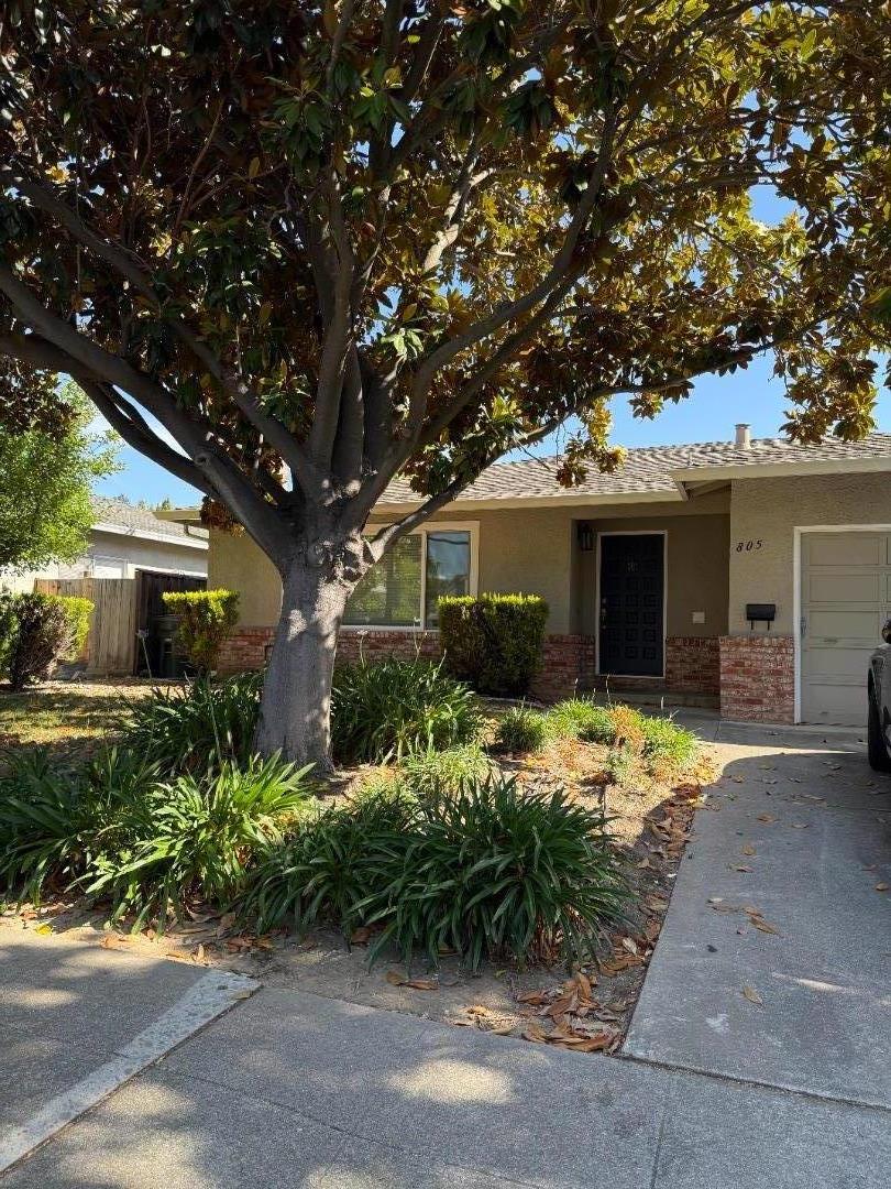 805 Devoto Street Mountain View, CA 94041 - Photo 1 of 3 a front view of a house with a yard and potted plants