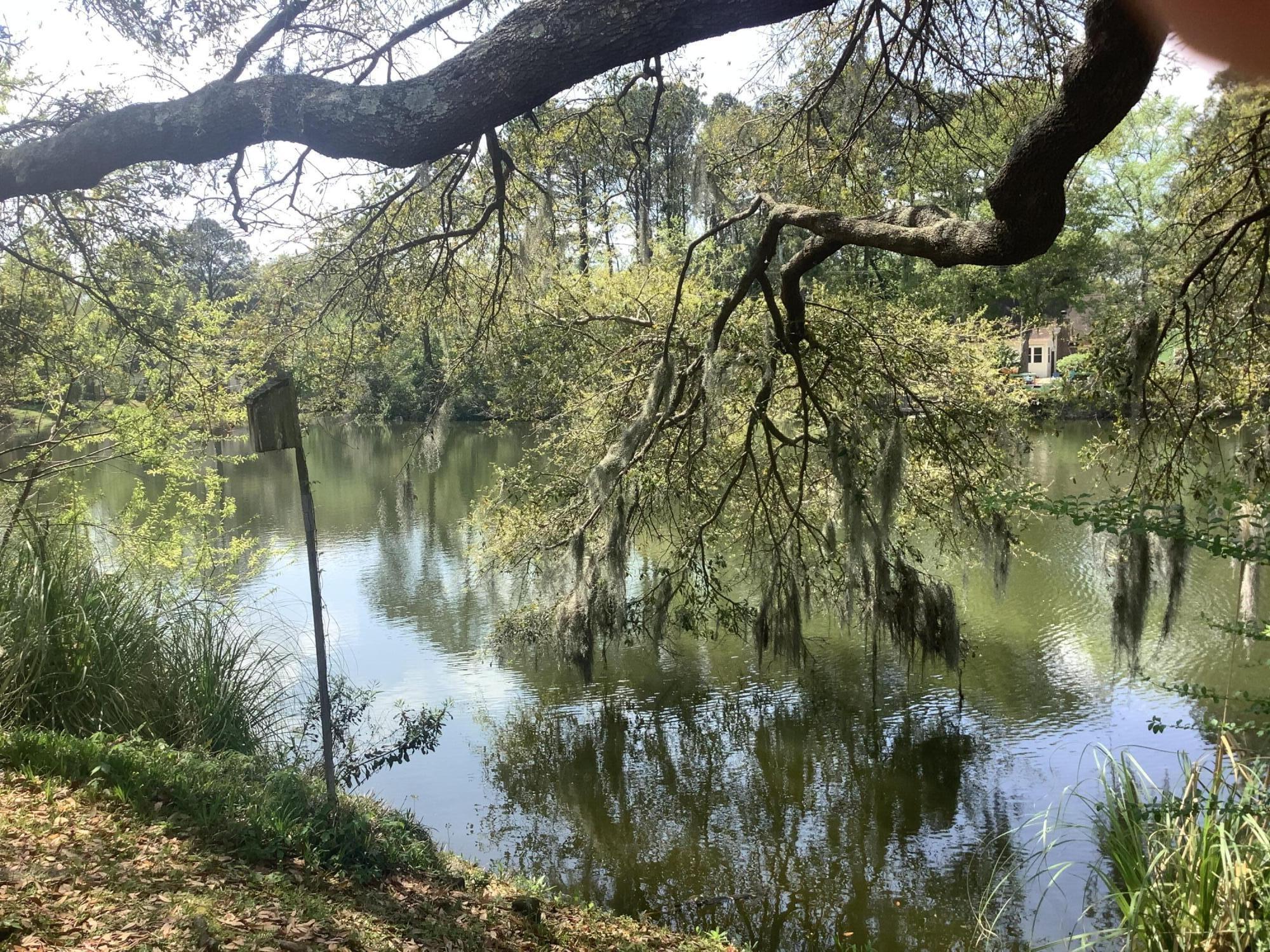 5 Town Park Lane, Unit E Charleston, SC 29412 - Photo 3 of 9 IMG_0789