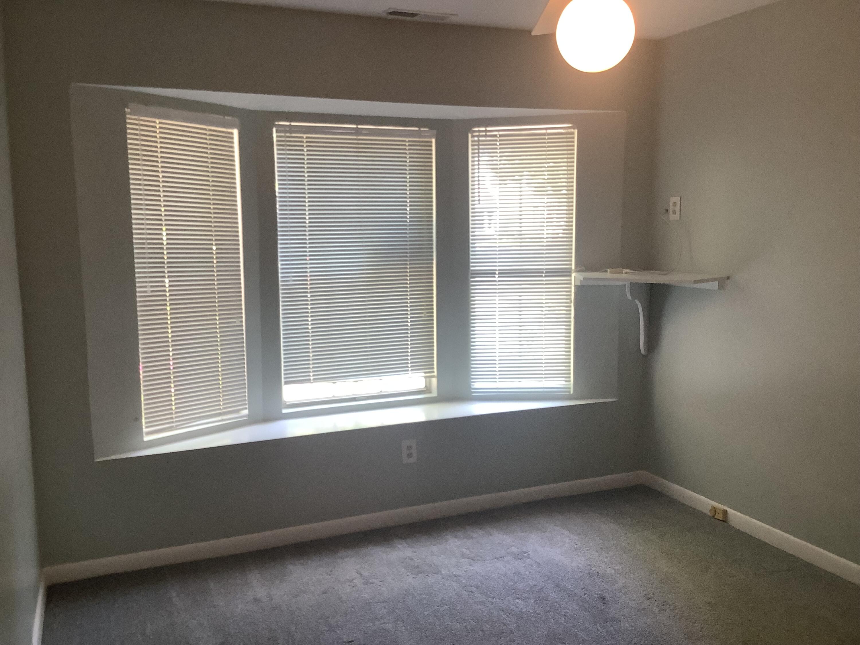 5 Town Park Lane, Unit E Charleston, SC 29412 - Photo 7 of 9 IMG_0781