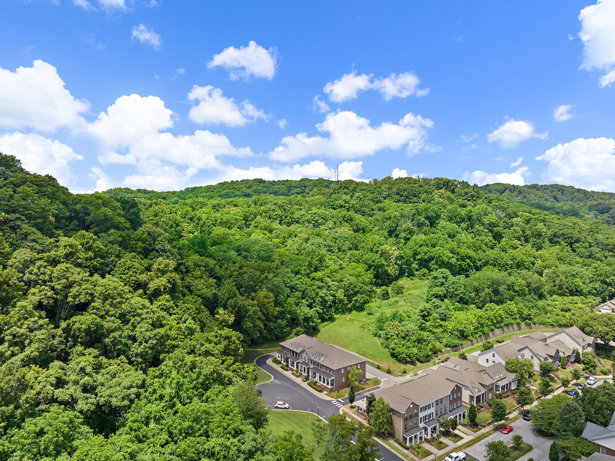 916 Gateway Court Franklin, TN 37069 - Photo 25 of 26 an aerial view of a house with garden