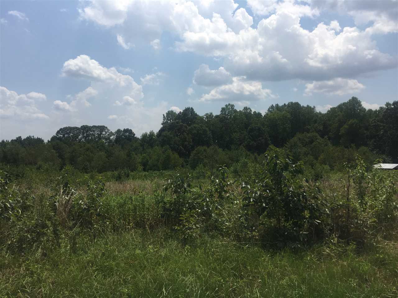 0 Gore Road Boiling Springs, SC 29316 - Photo 3 of 4