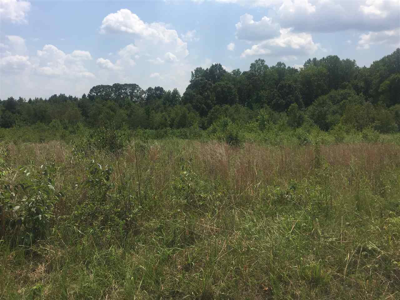 0 Gore Road Boiling Springs, SC 29316 - Photo 4 of 4