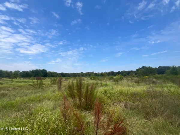 $715,000 | 0 Sharon Road, Canton, MS 39046