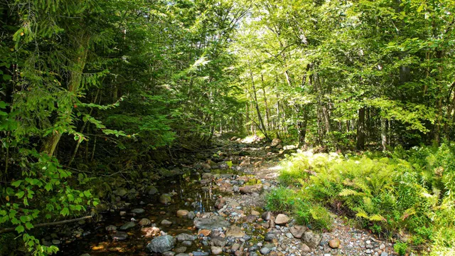 $99,900 | 0 Camp Road, Plainfield, NH 03781