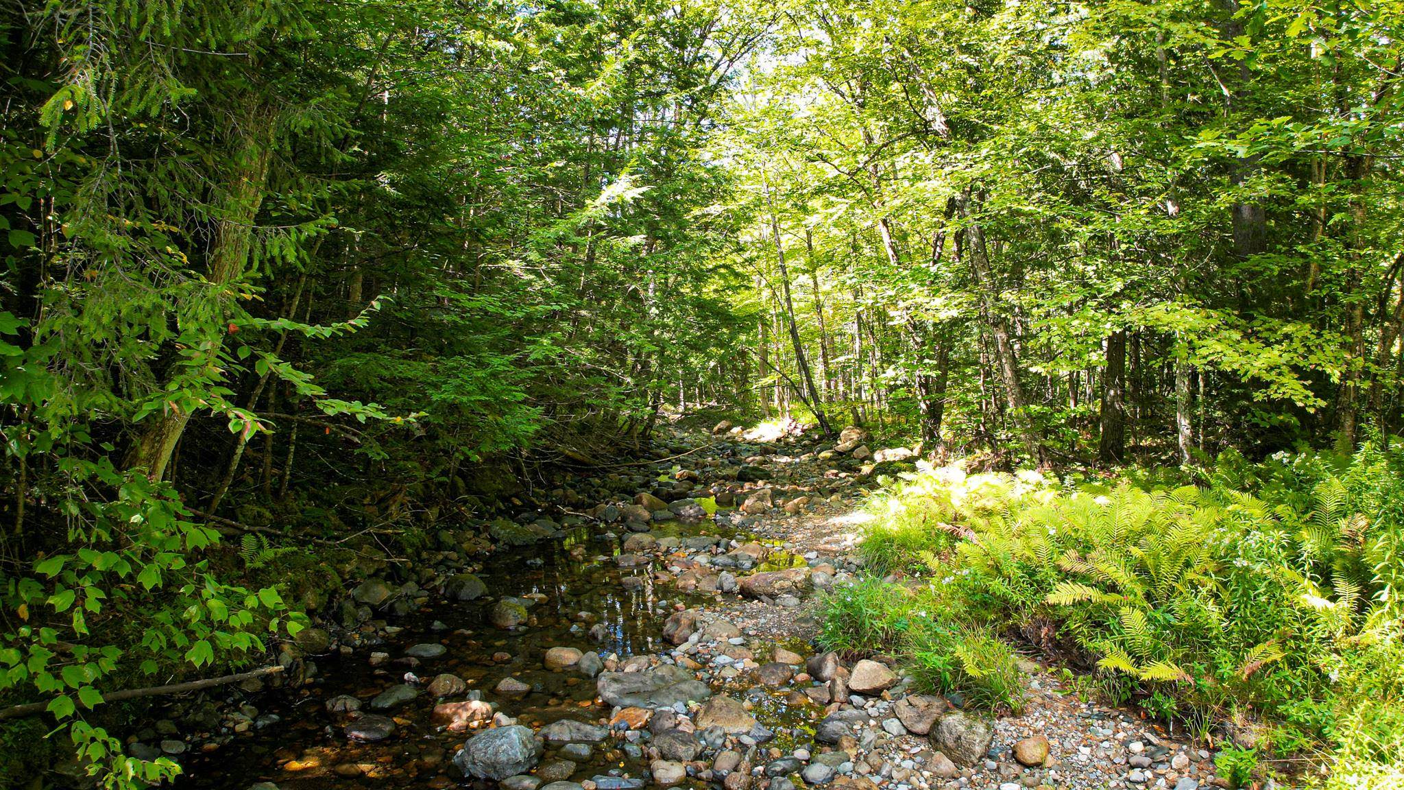 0 Camp Road Plainfield, NH 03781 - Photo 12 of 21