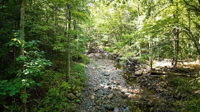 $99,900 | 0 Camp Road, Plainfield, NH 03781