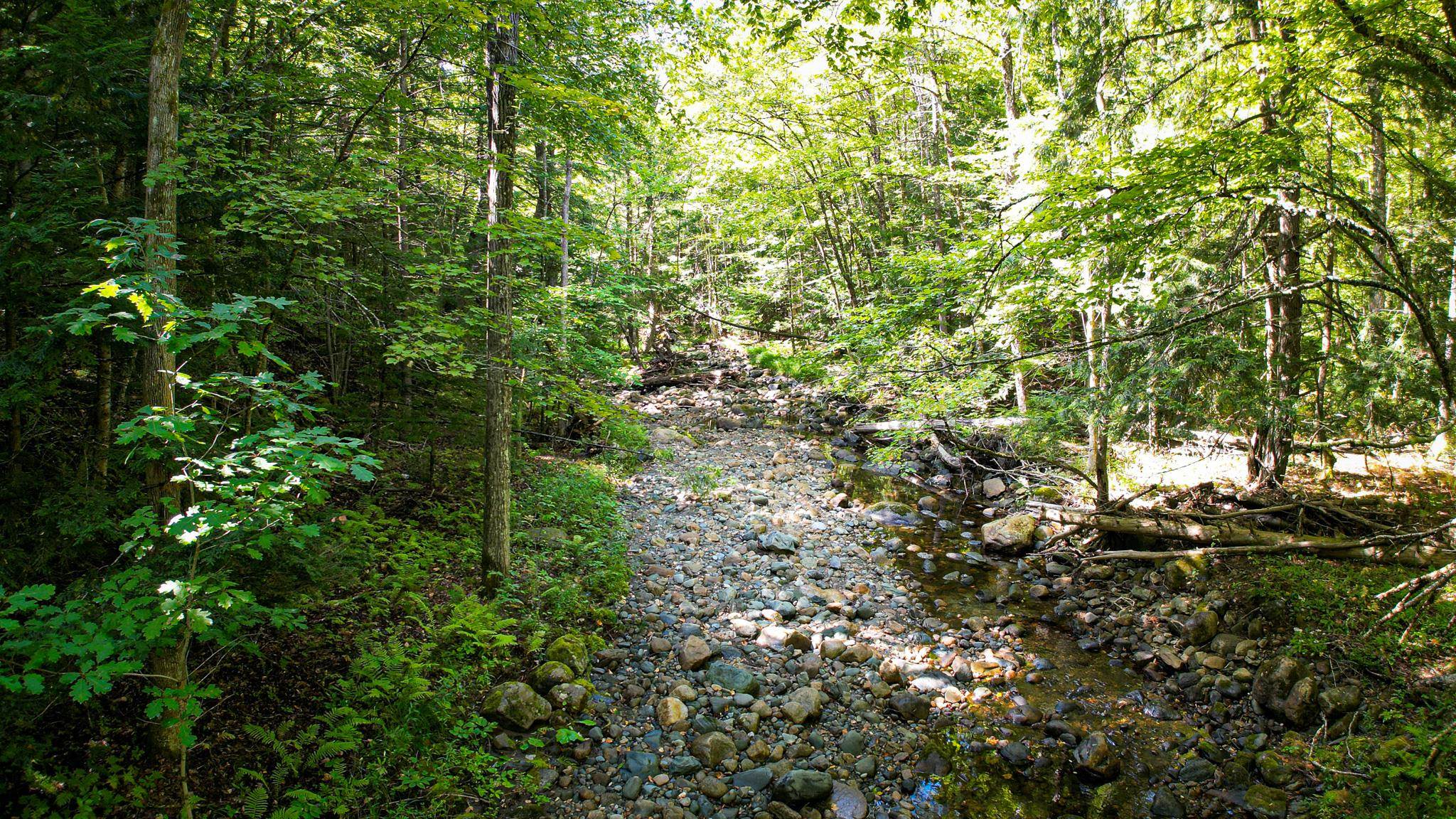 0 Camp Road Plainfield, NH 03781 - Photo 13 of 21