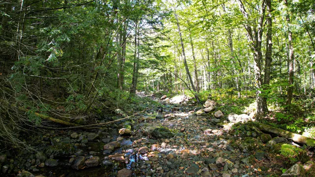 $99,900 | 0 Camp Road, Plainfield, NH 03781