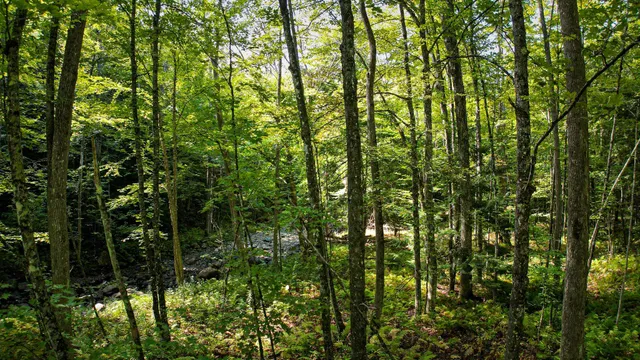 $99,900 | 0 Camp Road, Plainfield, NH 03781