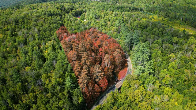 $99,900 | 0 Camp Road, Plainfield, NH 03781