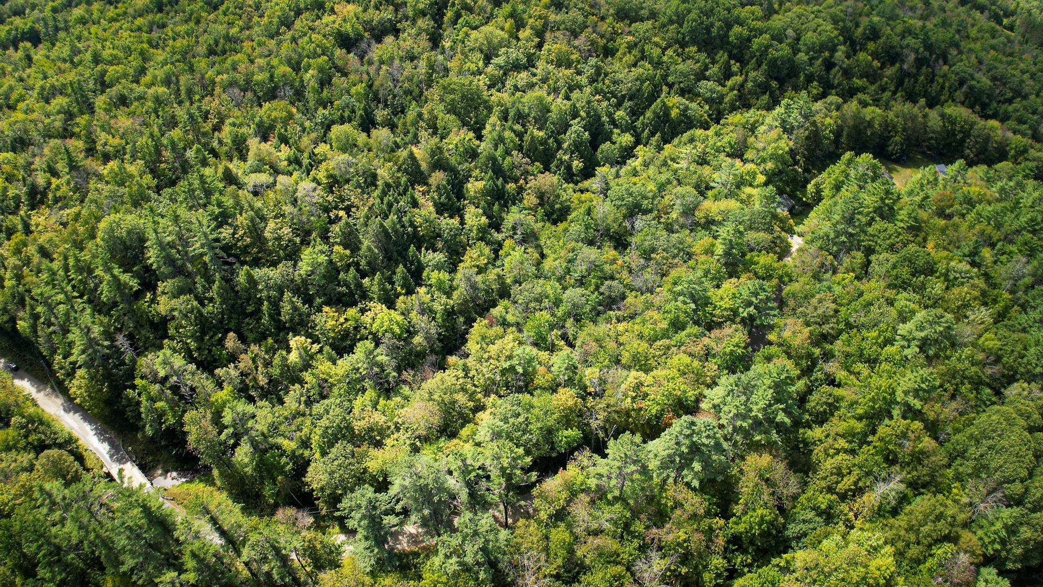 0 Camp Road Plainfield, NH 03781 - Photo 4 of 21