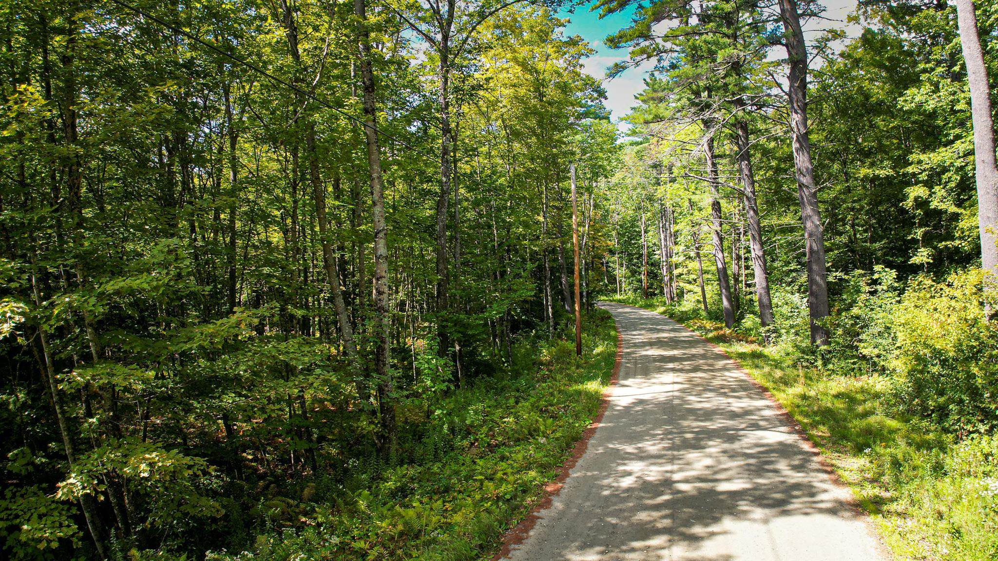 0 Camp Road Plainfield, NH 03781 - Photo 9 of 21