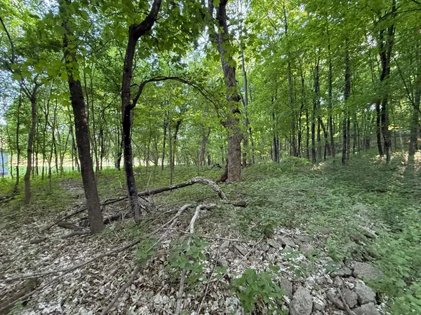$110,000 | Xxxx Jalger Avenue Southeast, Buffalo, MN 55313