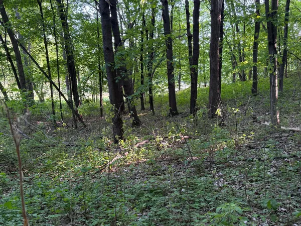 $110,000 | Xxxx Jalger Avenue Southeast, Buffalo, MN 55313