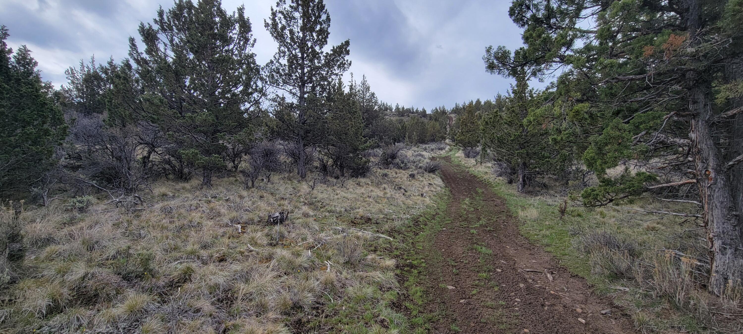 1500 Southeast Osprey Road, Unit 62 Prineville, OR 97754 - Photo 14 of 26 Road 01