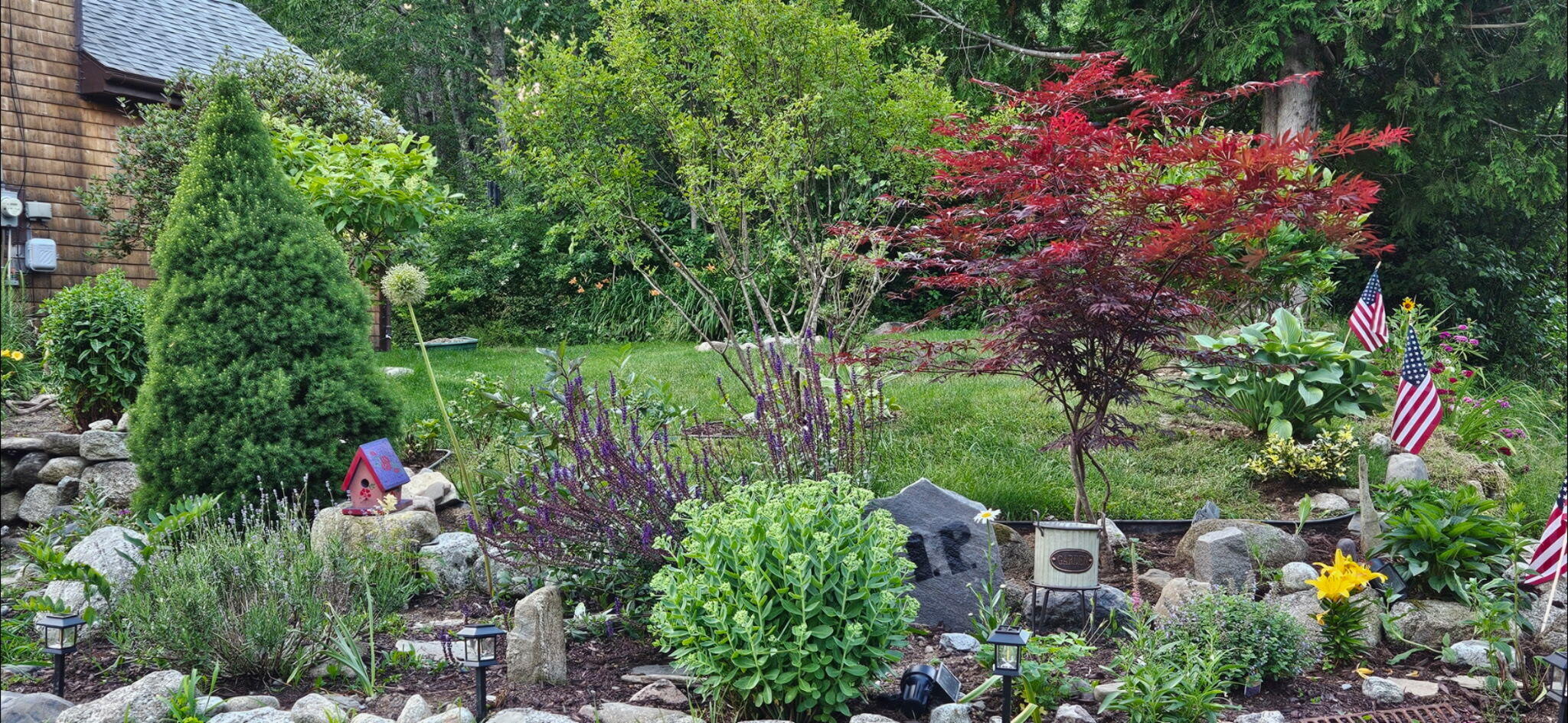 74 Pout Town Road Stockton Springs, ME 04981 - Photo 24 of 67 Garden red maple