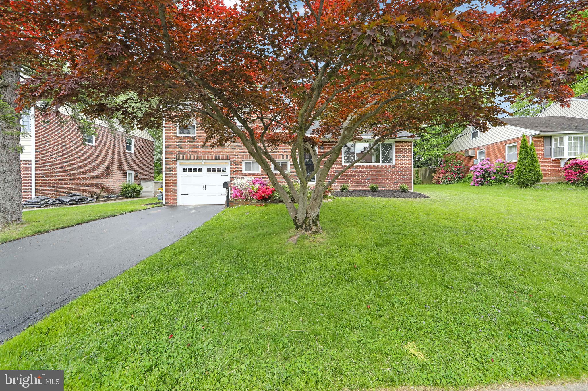 334 Parham Road Springfield, PA 19064 - Photo 7 of 41 a front view of house with yard and green space