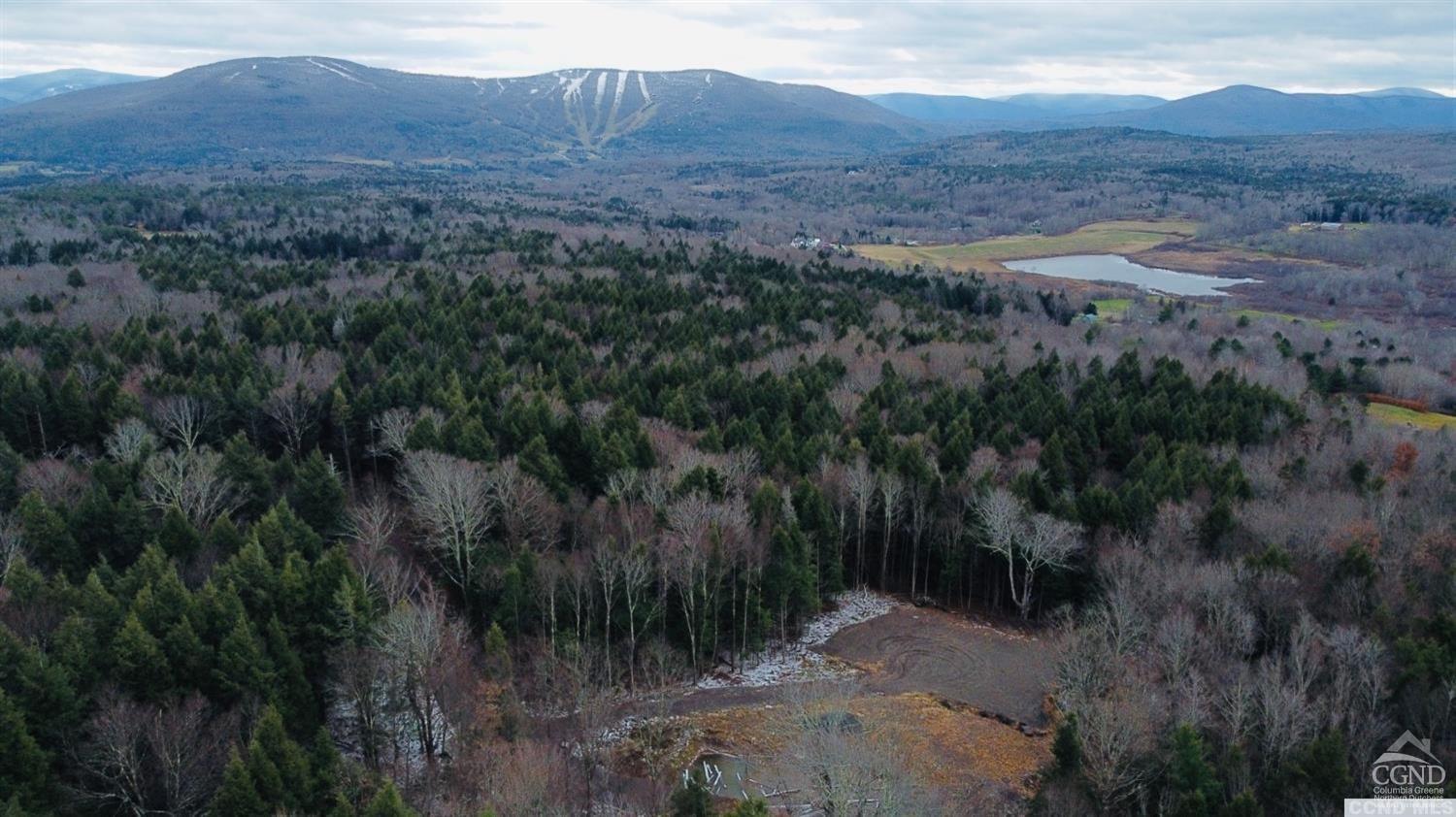 0 Begley Road Windham, NY 12496 - Photo 3 of 11 Photo 3