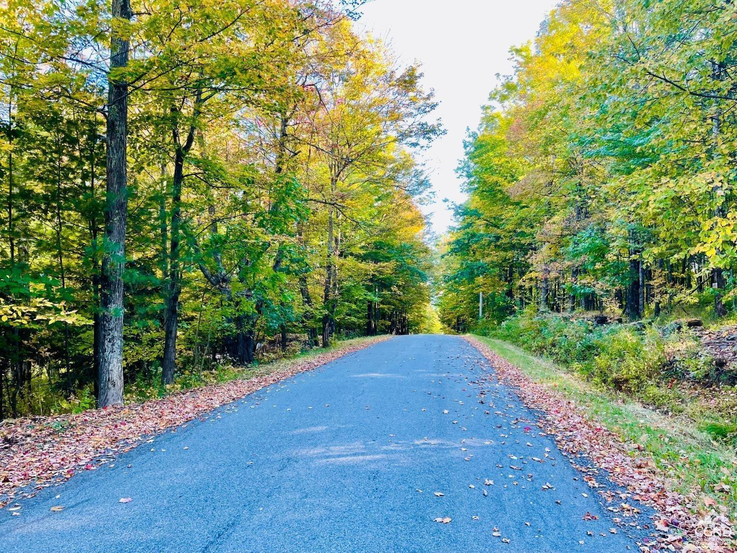 0 Begley Road Windham, NY 12496 - Photo 5 of 11 Begley Road
