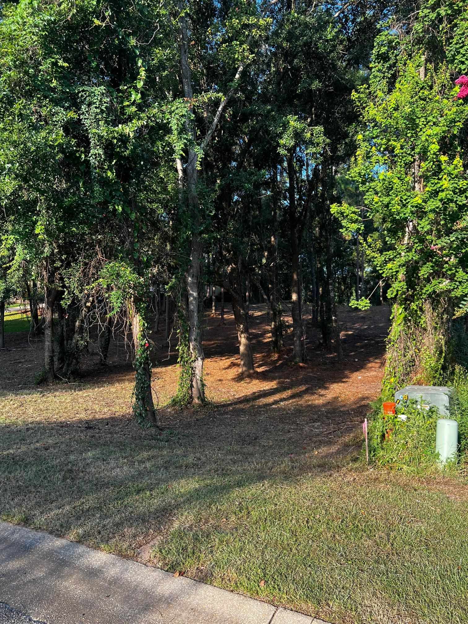 115 Augusta Court Fairhope, AL 36532 - Photo 3 of 12