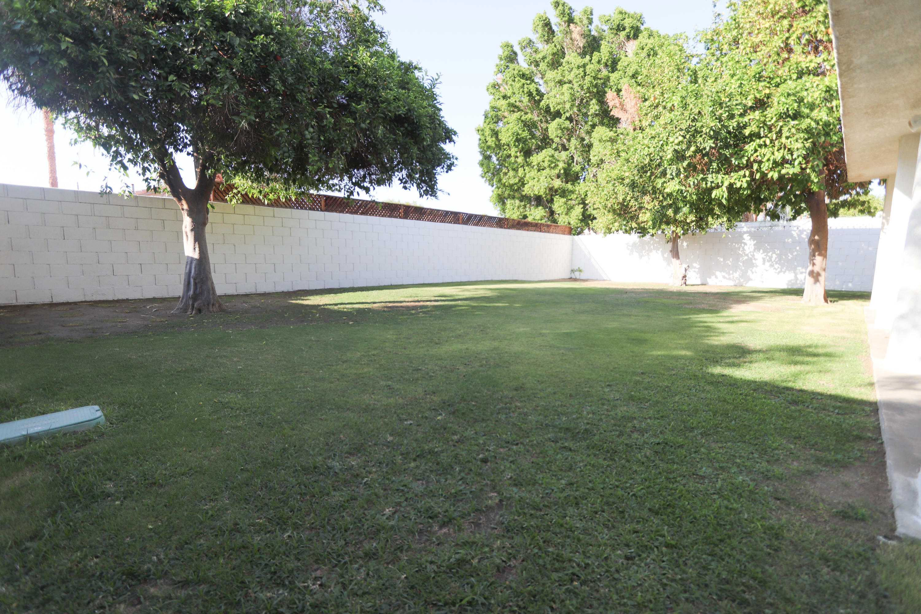 68250 Risueno Road Cathedral City, CA 92234 - Photo 13 of 19 a view of yard with tree and a yard