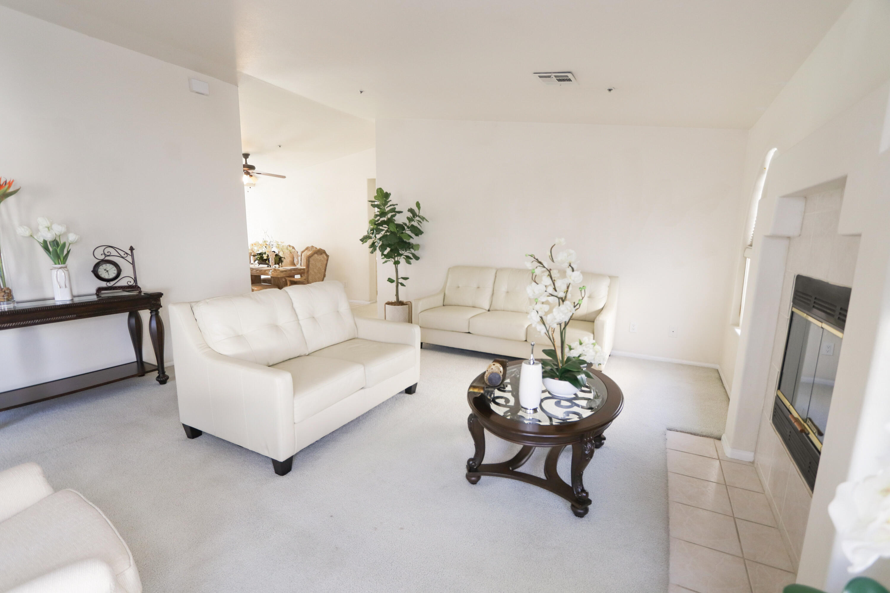 68250 Risueno Road Cathedral City, CA 92234 - Photo 4 of 19 a living room with furniture a couch and a potted plant