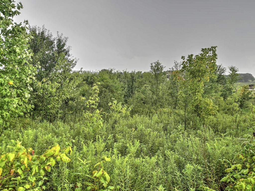Tbd Tbd Old Snapps Ferry Road Greeneville, TN 37745 - Photo 1 of 3 Photo 1