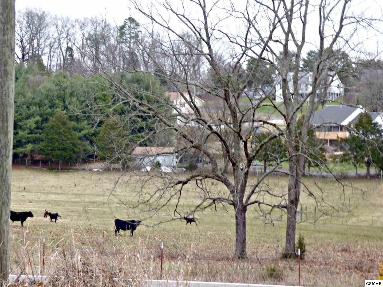 2 Valley Home Road Dandridge, TN 37725 - Photo 4 of 6 Gallery Image 4