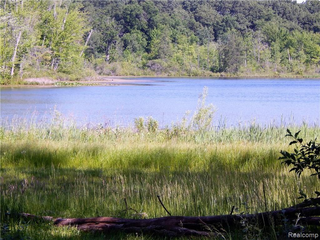 5860 Crandall Road Howell, MI 48855 - Photo 22 of 22 Lake access for residents