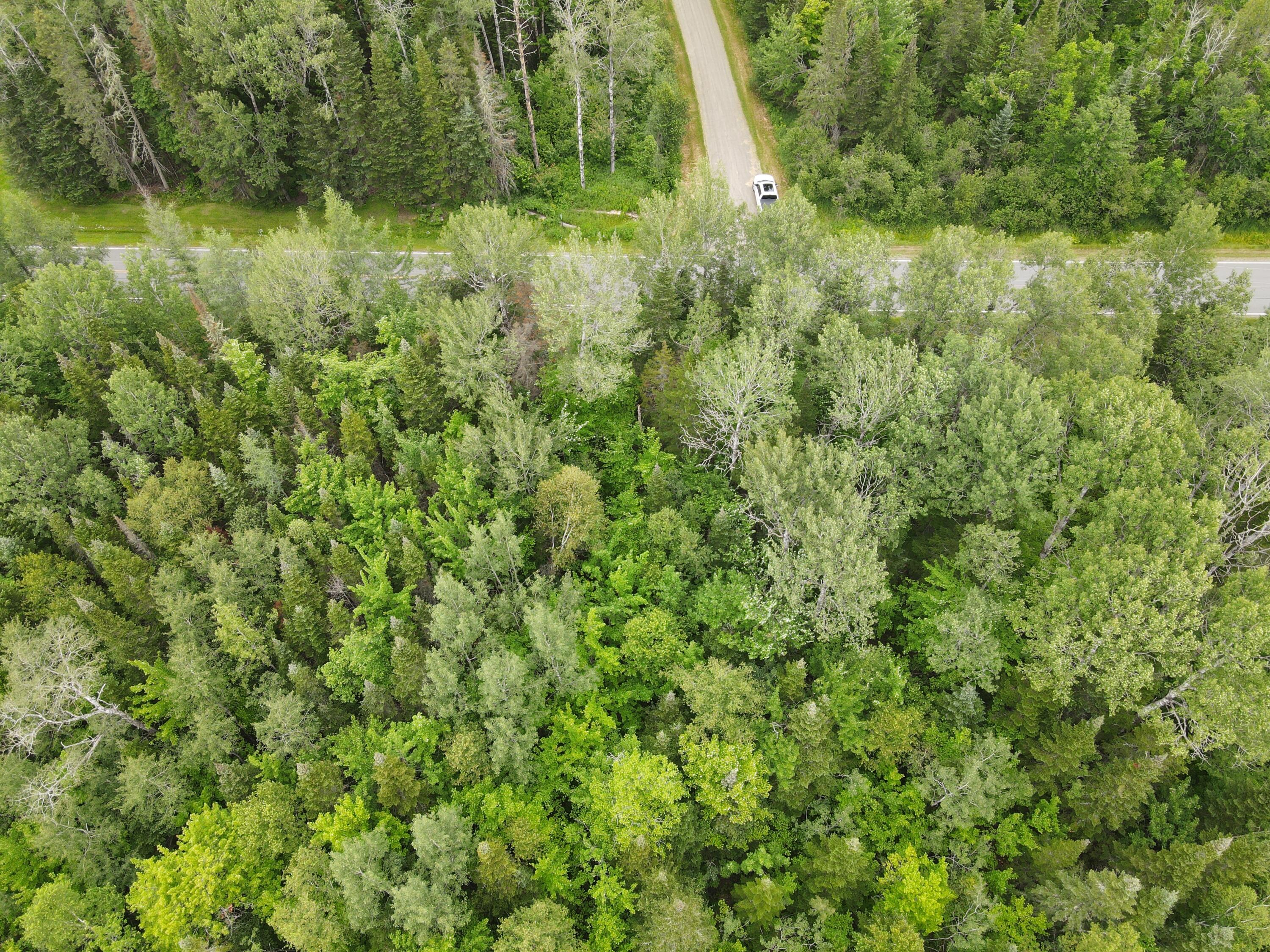 Lot 35.1 Beaulieu Road Caribou, ME 04736 - Photo 7 of 7 Photo_6553732_DJI_132_jpg_9502292_0_2021
