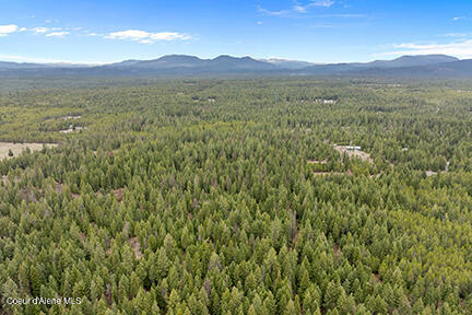 Nna North Lewellen Creek Road Athol, ID 83801 - Photo 13 of 15 Aerial_NLewellenCreekLn-2_resized