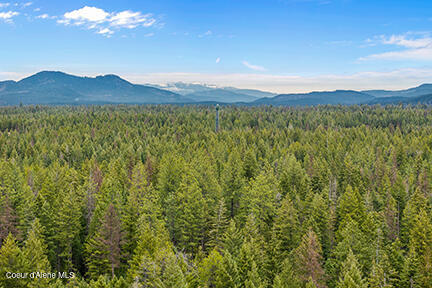 Nna North Lewellen Creek Road Athol, ID 83801 - Photo 14 of 15 Aerial_NLewellenCreekLn-3_resized