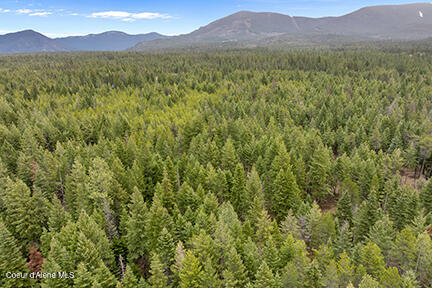 Nna North Lewellen Creek Road Athol, ID 83801 - Photo 4 of 15 Aerial_NLewellenCreekLn_South10-2_resize