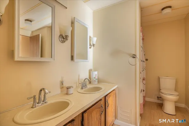 a bathroom with a sink a toilet and a large mirror