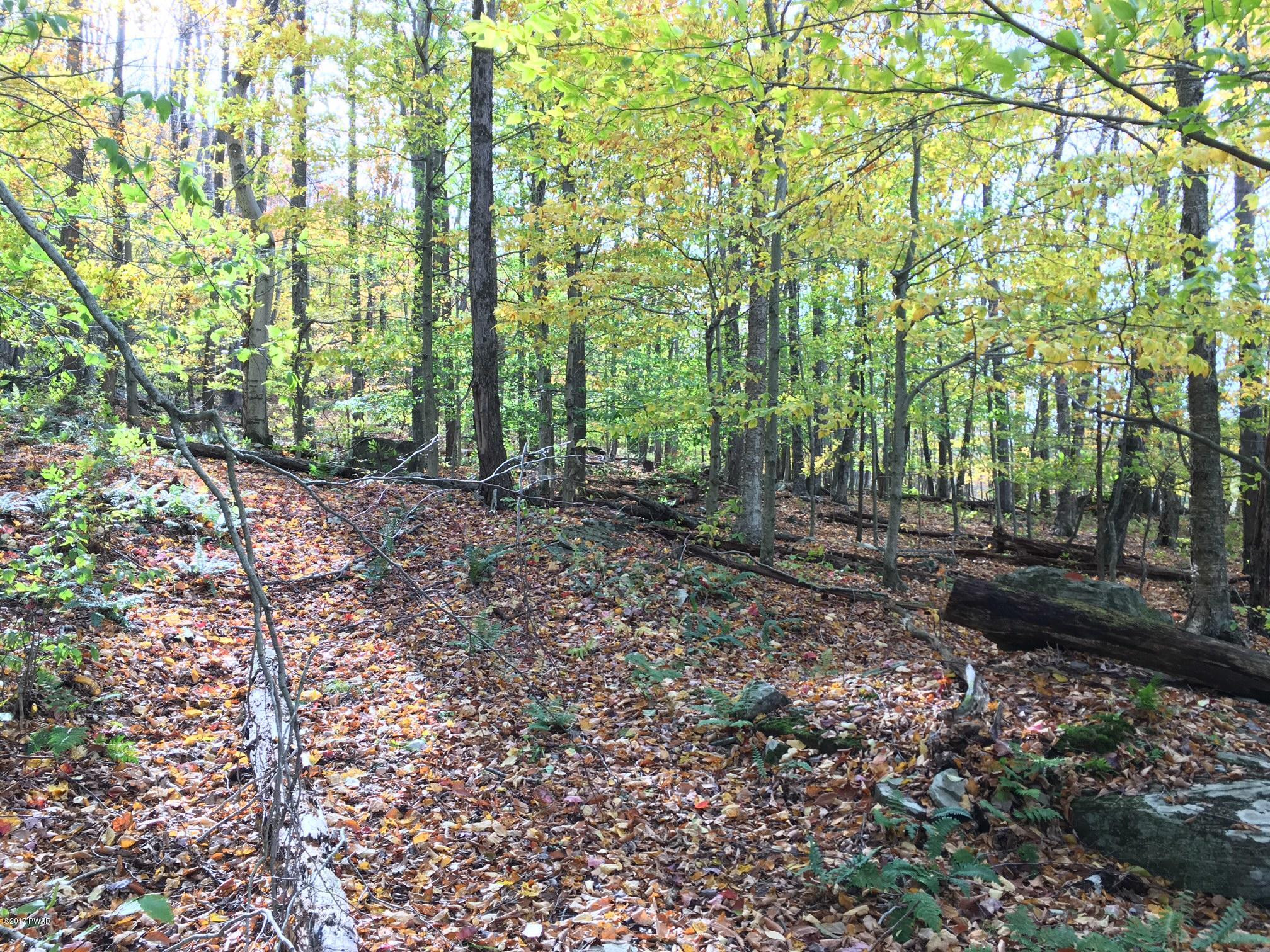 896 Peters Road Hancock, NY 13783 - Photo 11 of 11