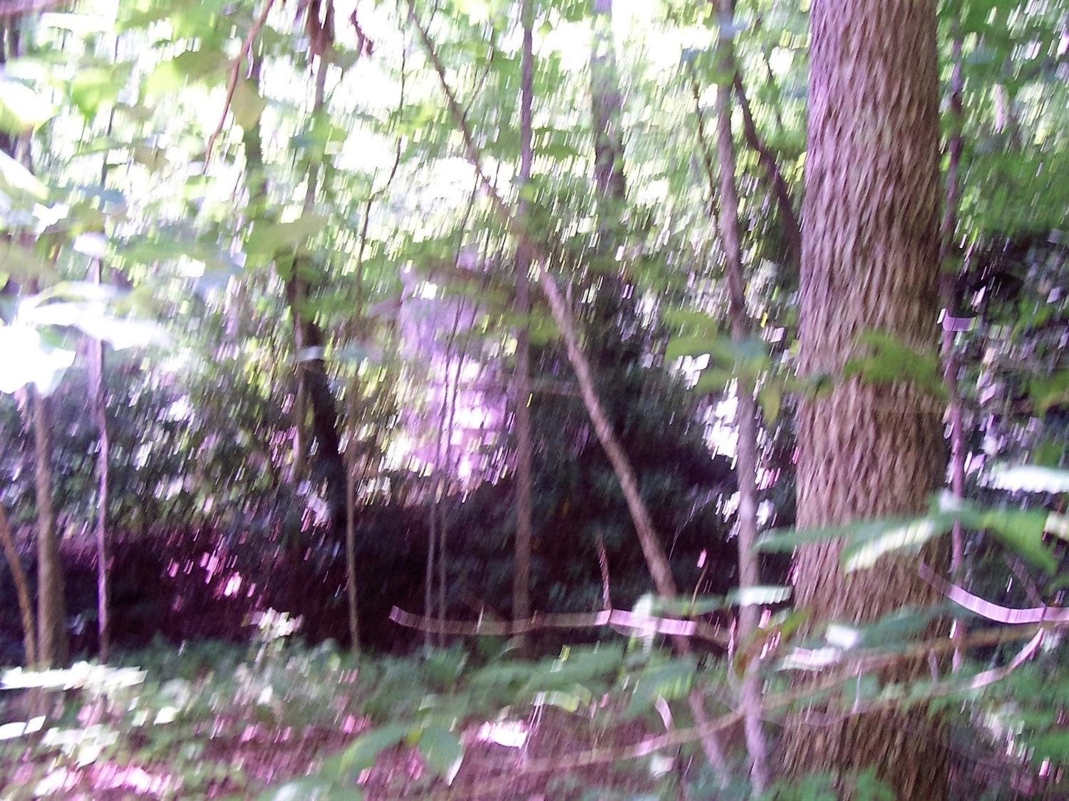 4236 Beech Timber Road Beattyville, KY 41311 - Photo 30 of 76 Photo 30
