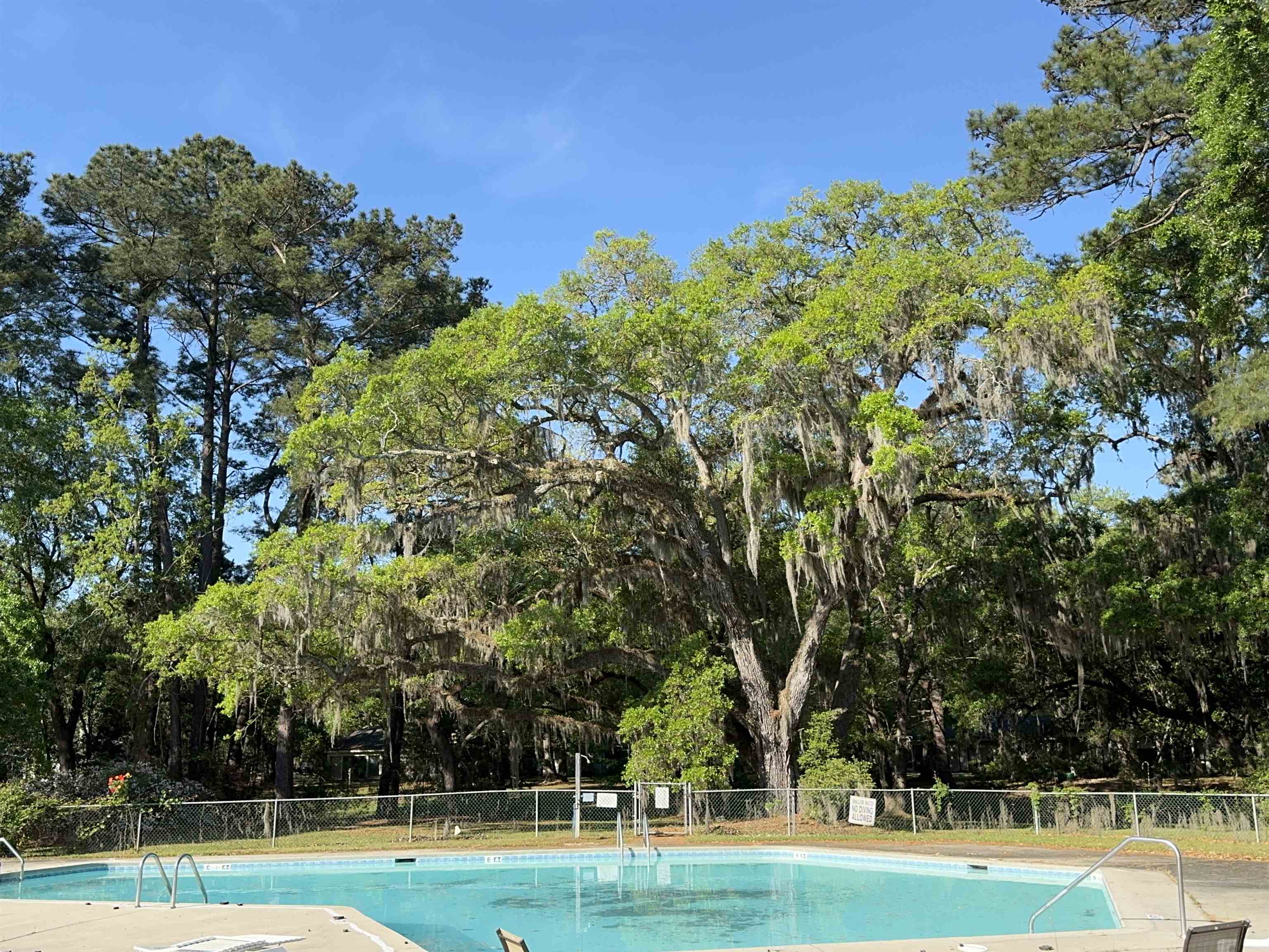 134 Wedgefield Village Road, Unit 36 Georgetown, SC 29440 - Photo 33 of 36