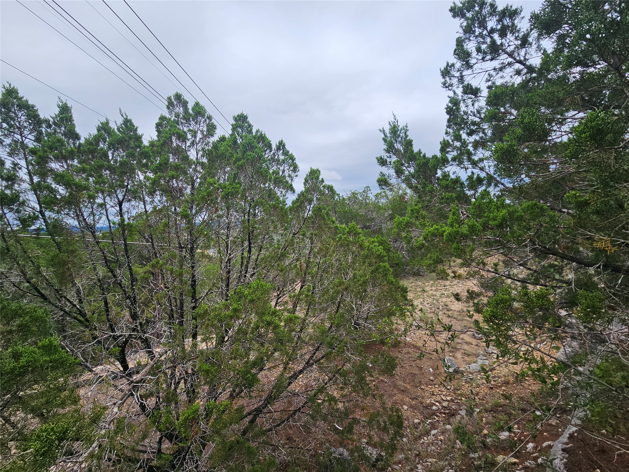 6802 Cedar Ridge Circle Lago Vista, TX 78645 - Photo 5 of 19 View of nature