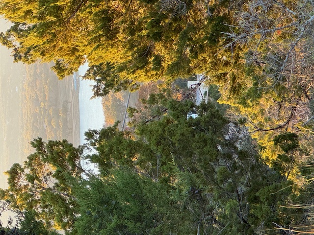 6802 Cedar Ridge Circle Lago Vista, TX 78645 - Photo 8 of 19 Water view featuring a heavily wooded area