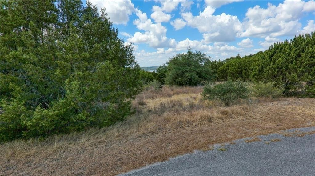 6802 Cedar Ridge Circle Lago Vista, TX 78645 - Photo 9 of 19 View of local wilderness