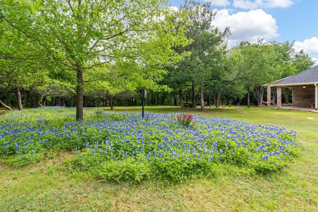 12041 Shady Creek Drive Whitney, TX 76692 - Photo 26 of 40 a view of a house with a big yard and palm trees