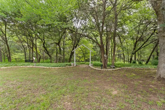 a view of a field with trees