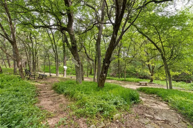 a view of backyard with green space