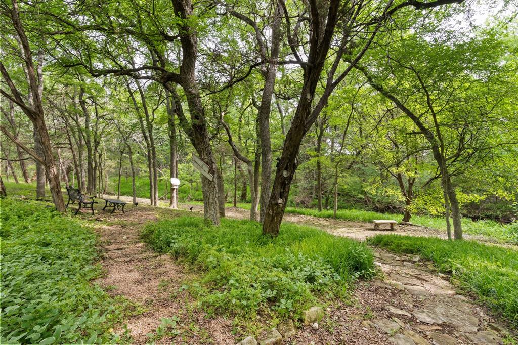 12041 Shady Creek Drive Whitney, TX 76692 - Photo 31 of 40 a view of backyard with green space