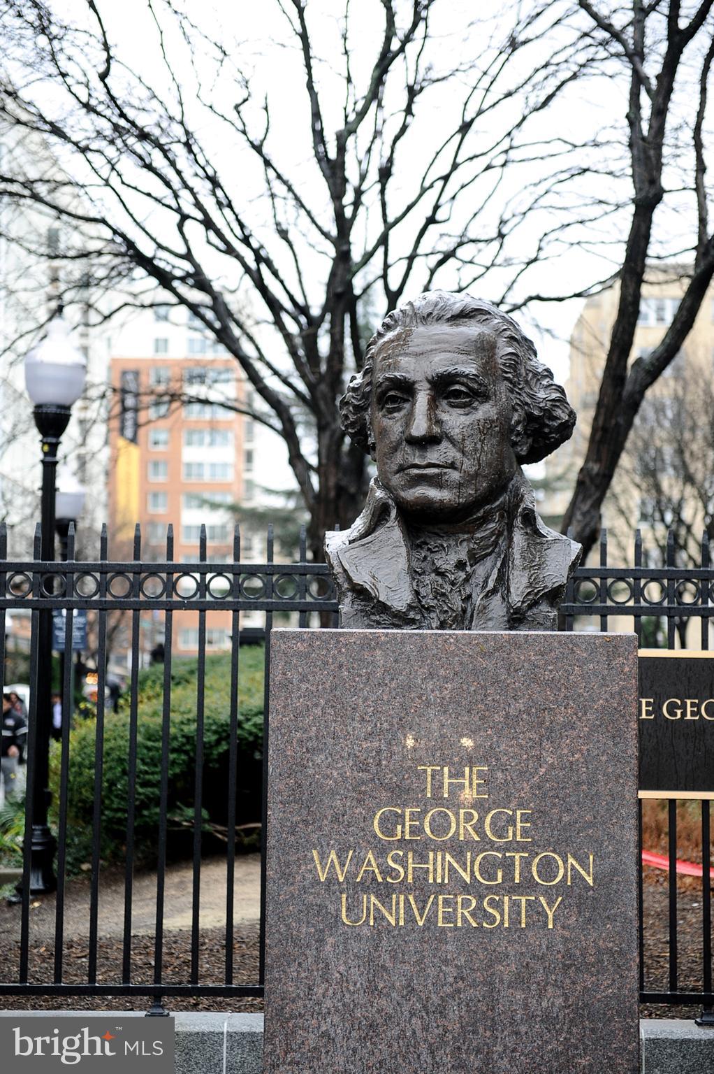 2425 L Street Northwest, Unit 617 Washington, DC 20037 - Photo 35 of 36 a view of a building from a tree