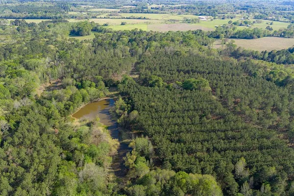 $735,000 | 0 Farm To Market Road 2022, Grapeland, TX 75844