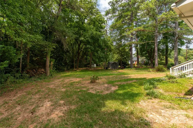 a view of a tree in a yard