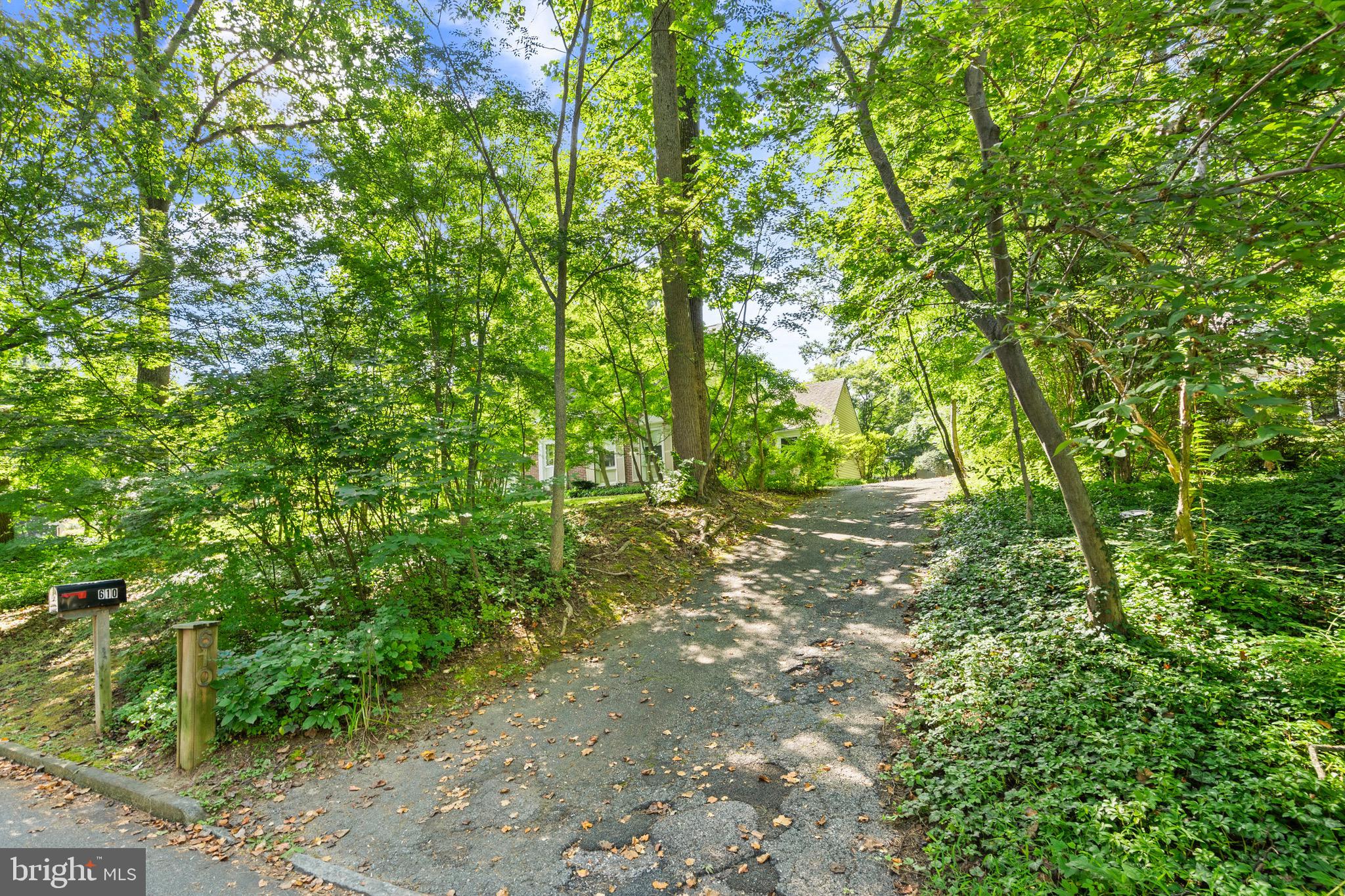 610 Broad Acres Road Penn Valley, PA 19072 - Photo 2 of 41 a view of outdoor space and yard