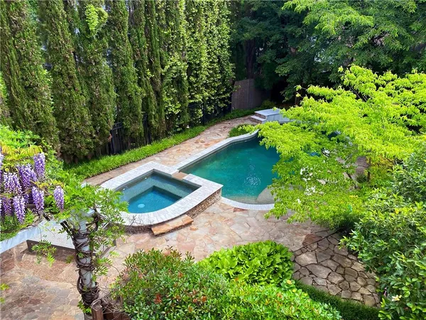 a view of a garden with plants