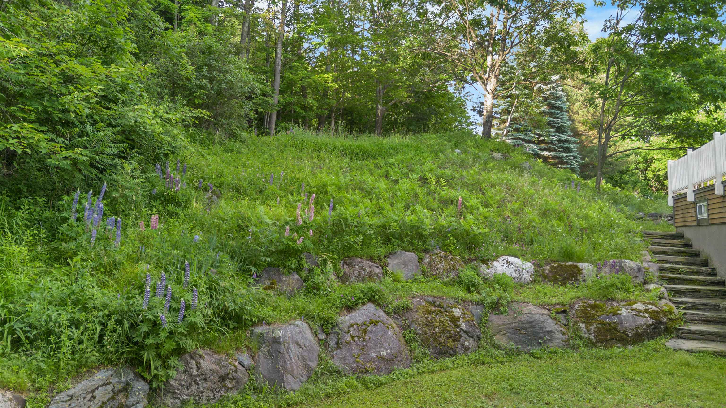 291 Sweet Road Cambridge, VT 05444 - Photo 42 of 60